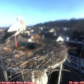 07_40-nest.jpg