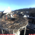 07_45-nest.jpg