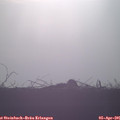 07_55-mast.jpg