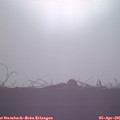 08_00-mast.jpg