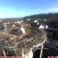 08_00-nest.jpg