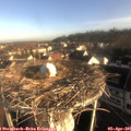 08_05-nest.jpg