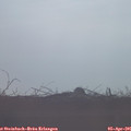 08_10-mast.jpg