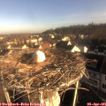 08_15-nest.jpg