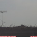 08_25-mast.jpg