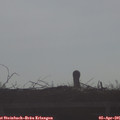 08_45-mast.jpg