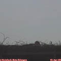 08_50-mast.jpg