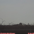 08_55-mast.jpg