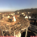 08_55-nest.jpg