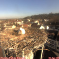 09_00-nest.jpg