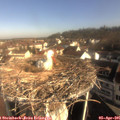 09_05-nest.jpg