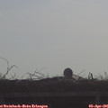 09_10-mast.jpg