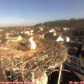 09_10-nest.jpg