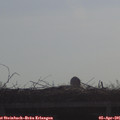 09_15-mast.jpg
