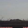 09_20-mast.jpg