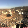 09_20-nest.jpg