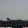 09_25-mast.jpg