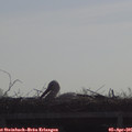 09_35-mast.jpg