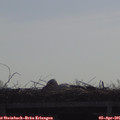 09_40-mast.jpg