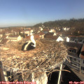 09_50-nest.jpg