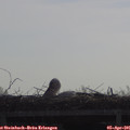 09_55-mast.jpg