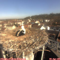 09_55-nest.jpg