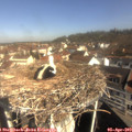 10_00-nest.jpg