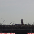10_05-mast.jpg
