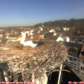 10_05-nest.jpg