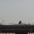 10_15-mast.jpg