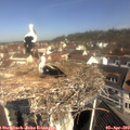 10_35-nest.jpg