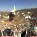 10_55-nest.jpg