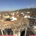 11_00-nest.jpg