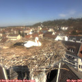 11_05-nest.jpg