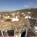 11_15-nest.jpg