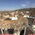 11_20-nest.jpg