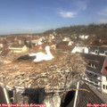 11_25-nest.jpg
