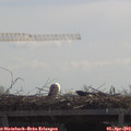 11_35-mast.jpg