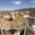 11_35-nest.jpg