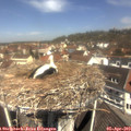 11_40-nest.jpg