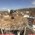 11_55-nest.jpg