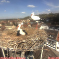 12_20-nest.jpg
