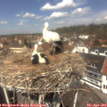 12_40-nest.jpg