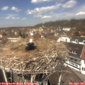 12_45-nest.jpg