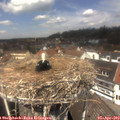 12_55-nest.jpg