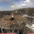 13_00-nest.jpg