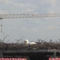13_05-mast.jpg