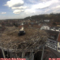 13_05-nest.jpg