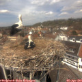 13_15-nest.jpg