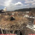 13_20-nest.jpg